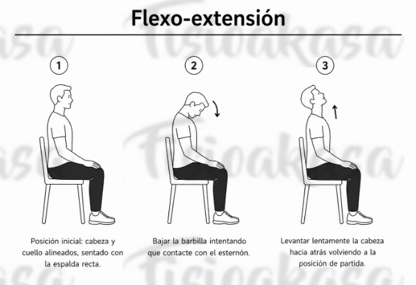 Flexión-extensión cervical